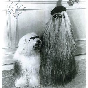 Meet your Posher, Grace